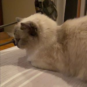 Meet your Posher, Sue